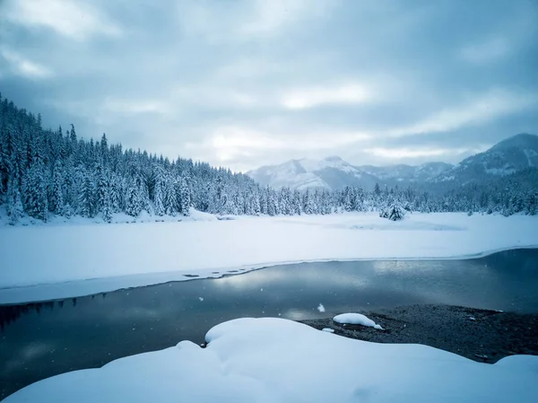 Snow Covered Frozen Beautiful Gold Creek Pond Snow Covered Trees — Stock Photo, Image