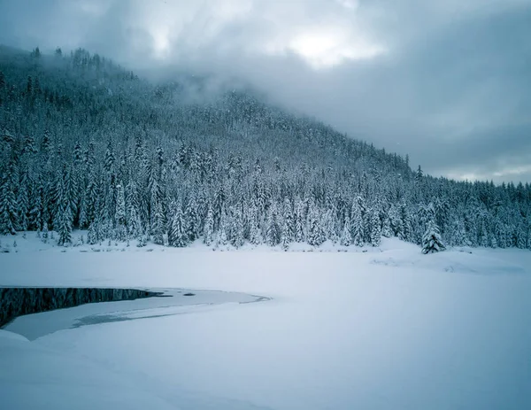 Snö Täckt Fryst Vacker Gold Creek Damm Med Snötäckta Träd — Stockfoto