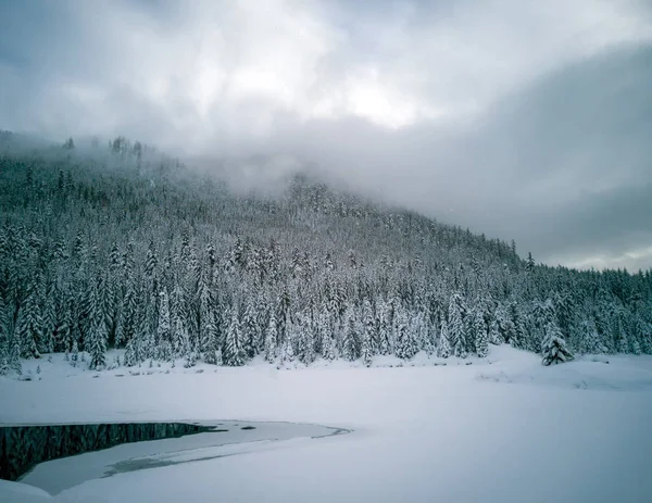 Étang Gelé Gold Creek Recouvert Neige Avec Des Arbres Des — Photo