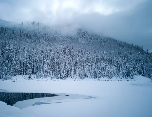 Snö Täckt Fryst Vacker Gold Creek Damm Med Snötäckta Träd — Stockfoto