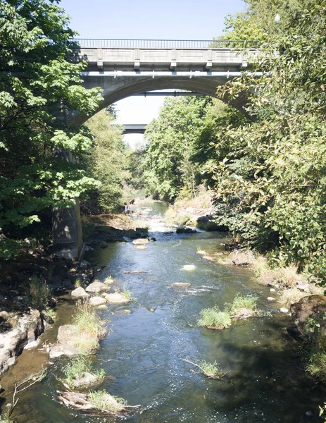 Puente Tumwater Falls Con Árboles Arbustos Brillando Agua Durante Verano — Foto de Stock