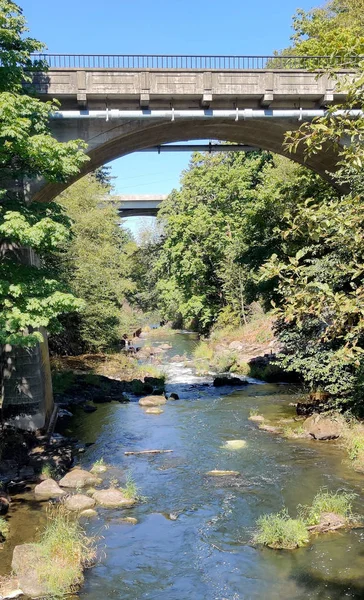 Puente Tumwater Falls Con Árboles Arbustos Brillando Agua Durante Verano — Foto de Stock