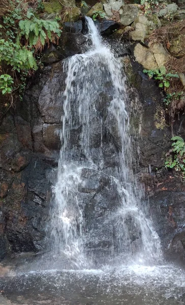 A waterfall fanning out over a rock formation at Tumwater Falls Park in Thurston County Washington state