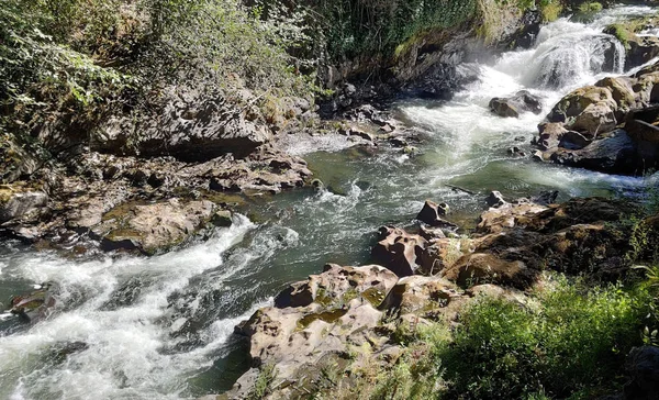 在华盛顿州西部瑟斯顿县的一个受欢迎的公园里 风景如画的中瀑布瀑布瀑布瀑布滑向一条小河 上面有一条鱼的梯子和一棵树 — 图库照片