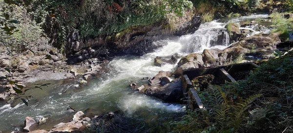 Scenic Middle Tumwater Falls Cascata Riacho Com Uma Escada Peixe — Fotografia de Stock