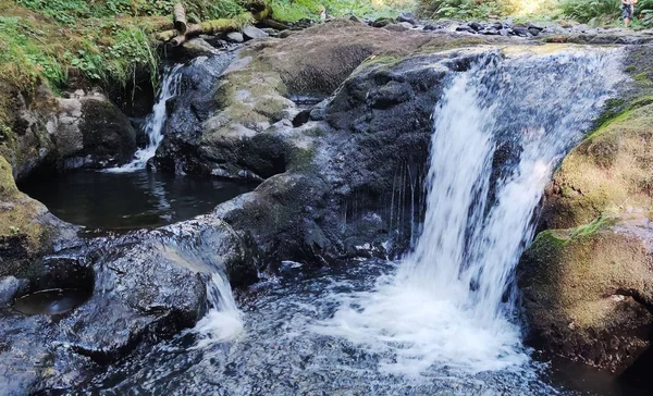 Νερό Cascading Κάτω Porter Creek Βραχώδεις Σχηματισμούς Και Πράσινα Φύλλα — Φωτογραφία Αρχείου