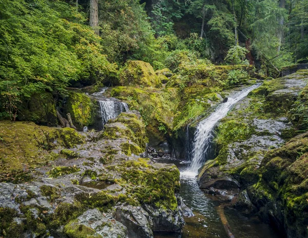 Anmärkningsvärda Lower Little Mashel Falls Kaskader Mossa Täckt Stenig Yta — Stockfoto