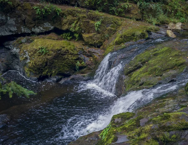 Anmärkningsvärda Lower Little Mashel Falls Kaskader Mossa Täckt Stenig Yta — Stockfoto