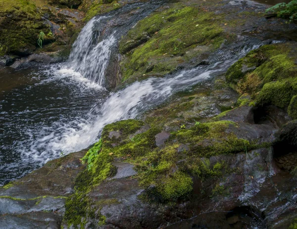 Bemerkenswerte Untere Kleine Mashel Fällt Kaskadenartig Eine Moosbewachsene Felsige Oberfläche — Stockfoto