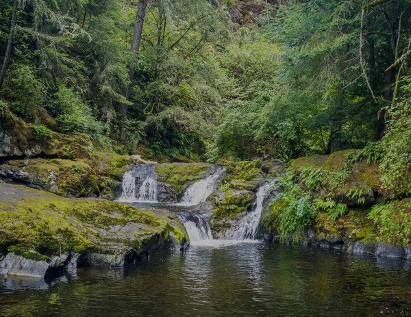 Dikkat çekici Aşağı Mashel Şelalesi yazın Pierce County Washington Eyaleti 'nde Charles Pack Ormanı' ndaki derede küçük bir su birikintisine giden yosun kaplı bir kaya yüzeyine dökülüyor.