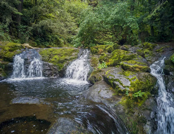 Αξιοθαύμαστο Κάτω Little Mashel Falls Cascading Ένα Βρύα Καλύπτονται Βραχώδη — Φωτογραφία Αρχείου