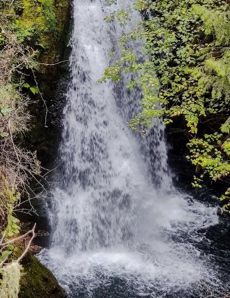 Εκθαμβωτικά Deschutes Falls Βυθίζονται Πάνω Από Τον Γκρεμό Ένα Μαγευτικό — Φωτογραφία Αρχείου
