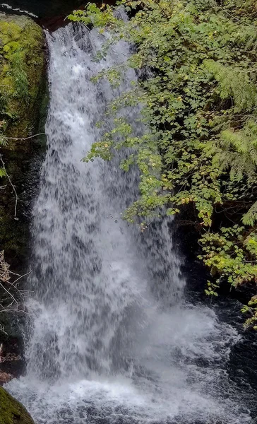 Deslumbrante Deschutes Falls Mergulhando Sobre Penhasco Desfiladeiro Tirar Fôlego Cercado — Fotografia de Stock