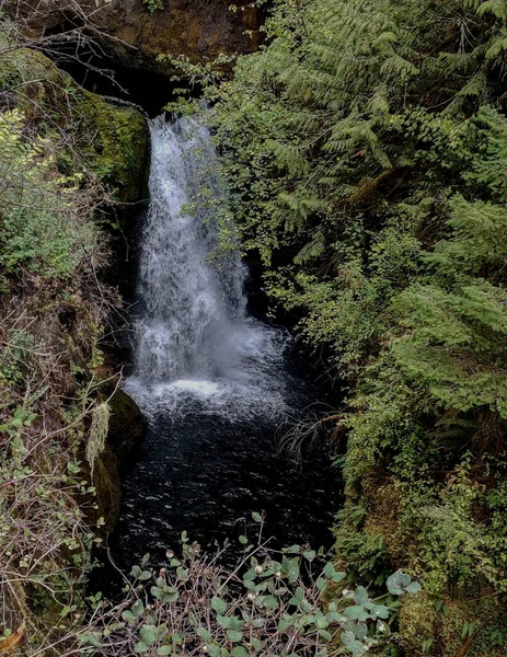 Bländande Deschutes Falls Störta Över Klippan Hisnande Ravin Omgiven Gröna — Stockfoto