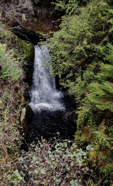 Εκθαμβωτικά Deschutes Falls Βυθίζονται Πάνω Από Τον Γκρεμό Ένα Μαγευτικό — Φωτογραφία Αρχείου