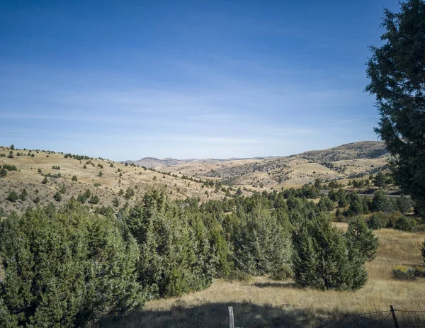 Paysage Isolé Prairies Vertes Brunes Avec Ciel Bleu Des Nuages — Photo