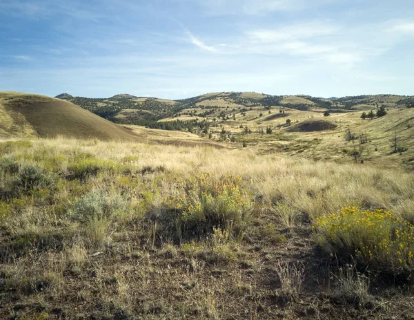 在俄勒冈州的半荒漠地区 令人叹为观止的五彩斑斓的约翰 戴化石床上画着红色 橙色和黄色条纹的小山 — 图库照片