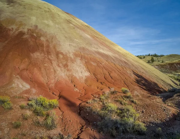 Colorful Red Gold Clay Mound Vegetation Beautiful Blue White Sky — 스톡 사진