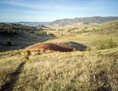 Incredible red and gold clay mounds in a park with vegetation hills trees and a beautiful blue and white sky on the Red Scar Knoll/Red Hill Trail at the John Day Fossil Beds in Oregon