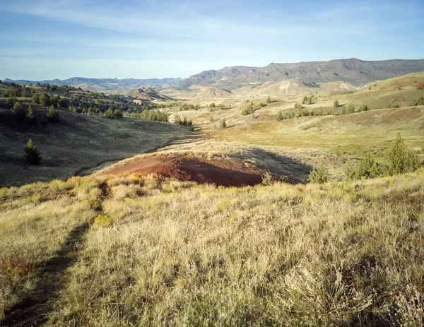 Incredible red and gold clay mounds in a park with vegetation hills trees and a beautiful blue and white sky on the Red Scar Knoll/Red Hill Trail at the John Day Fossil Beds in Oregon