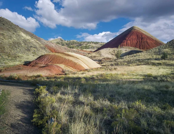 Incredible Red Gold Clay Pyramid Mounds Park Vegetation Hills Trees — 스톡 사진