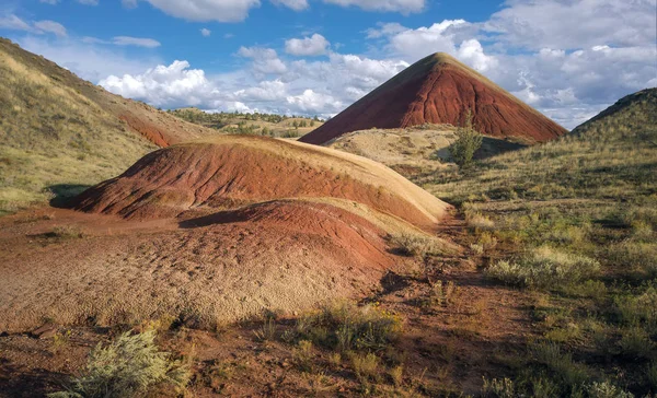 Incredible Red Gold Clay Pyramid Mounds Park Vegetation Hills Trees — 스톡 사진