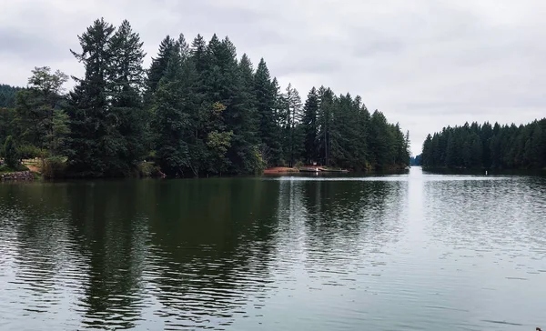 Maravilhoso Lago Lacamas Uma Manhã Nublada Com Natureza Selvagem Refletindo — Fotografia de Stock