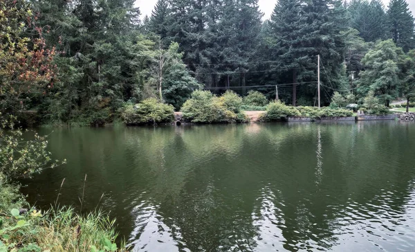 Wonderful Lacamas Lake Breezy Cloudy Morning Wilderness Reflecting Calm Shimmering — Stock Photo, Image