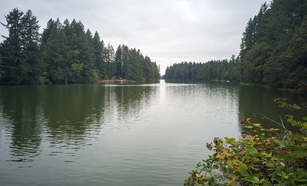 Meraviglioso Lago Lacamas Una Mattina Nuvolosa Ventilata Con Deserto Che — Foto Stock