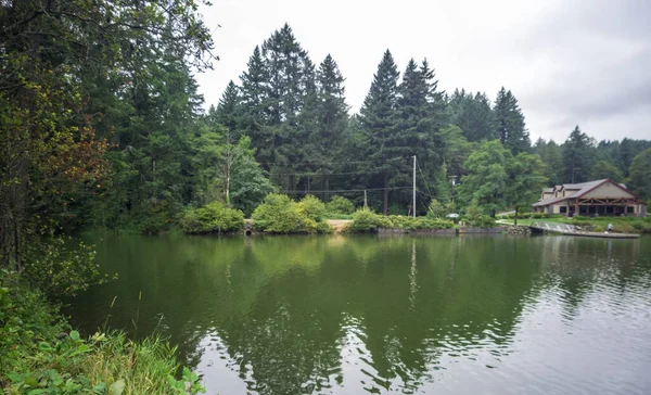 Maravilloso Lago Lacamas Una Mañana Nublada Brisa Con Desierto Reflejándose — Foto de Stock