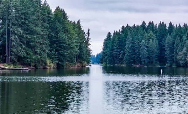Maravilhoso Lago Lacamas Uma Manhã Nublada Com Natureza Selvagem Refletindo — Fotografia de Stock