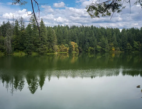 Sunny Lake Con Vibrante Bosque Circundante Reflejándose Día Verano Parcialmente — Foto de Stock