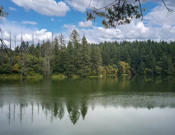 Sunny Lake Con Vibrante Bosque Circundante Reflejándose Día Verano Parcialmente — Foto de Stock