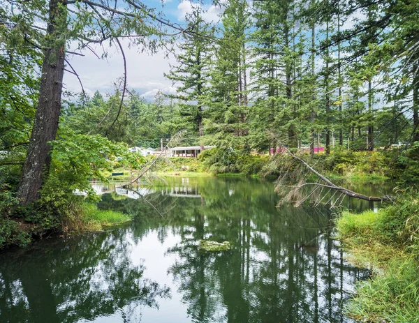 Sunny Lake Con Vibrante Bosque Circundante Reflejándose Día Verano Parcialmente — Foto de Stock