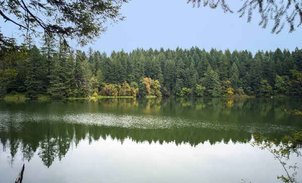 Camas Washington 'daki parçalı bulutlu yaz gününde etrafını çevreleyen canlı ormanla birlikte güneşli yuvarlak göl.