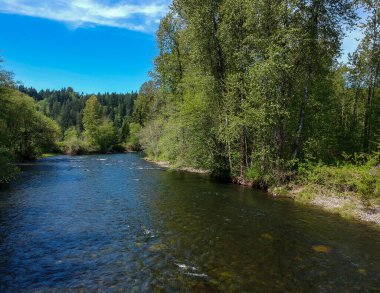 Auburn Washington 'da parçalı bulutlu bir yaz gününde Flaming Geyser State Park' ın muhteşem hava fotoğrafçılığı