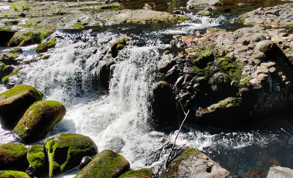 Chutes Shimmering Upper Creek Cascade Dans Cadre Rocheux Été Stevenson — Photo