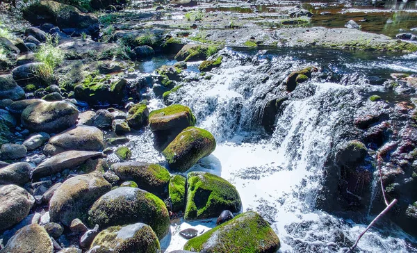 Shimmering Upper Creek Falls Cascading Rocky Setting Summer Time Stevenson — Stok Foto