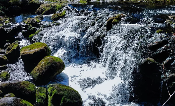 Chutes Shimmering Upper Creek Cascade Dans Cadre Rocheux Été Stevenson — Photo