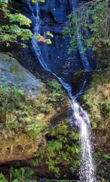 Flowing Steep Creek Falls Στα Βουνά Της Skamania County Μέσω — Φωτογραφία Αρχείου