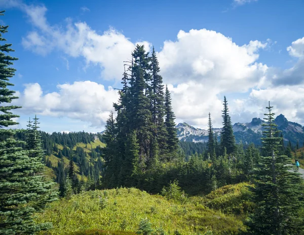 Prachtige Myrtle Falls Trail Het Majestueuze Mount Rainier National Park — Stockfoto