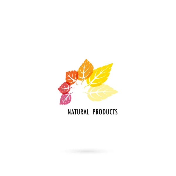 Círculo de hojas de colores icono con la naturaleza concept.Leaves vector — Vector de stock