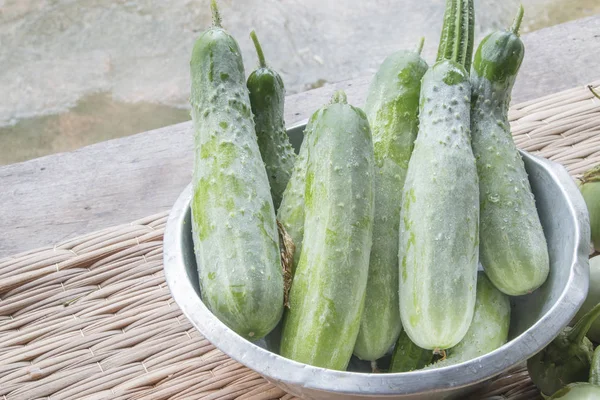 Raw Organic Cucumbers.Cucumber photo.Cucumber harvest.Agriculture,Plant,Nature Photo.