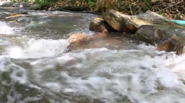 Temiz su bir orman. Küçük dağ nehir. Dağlarda su. Kışın ormandaki nehir. Milli park. Teen Tok Royal proje geliştirme Center.Chiang Mai.Thailand