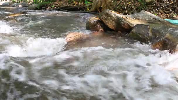 Agua Dulce Limpia Bosque Pequeño Río Montaña Agua Montañas Río — Vídeo de stock