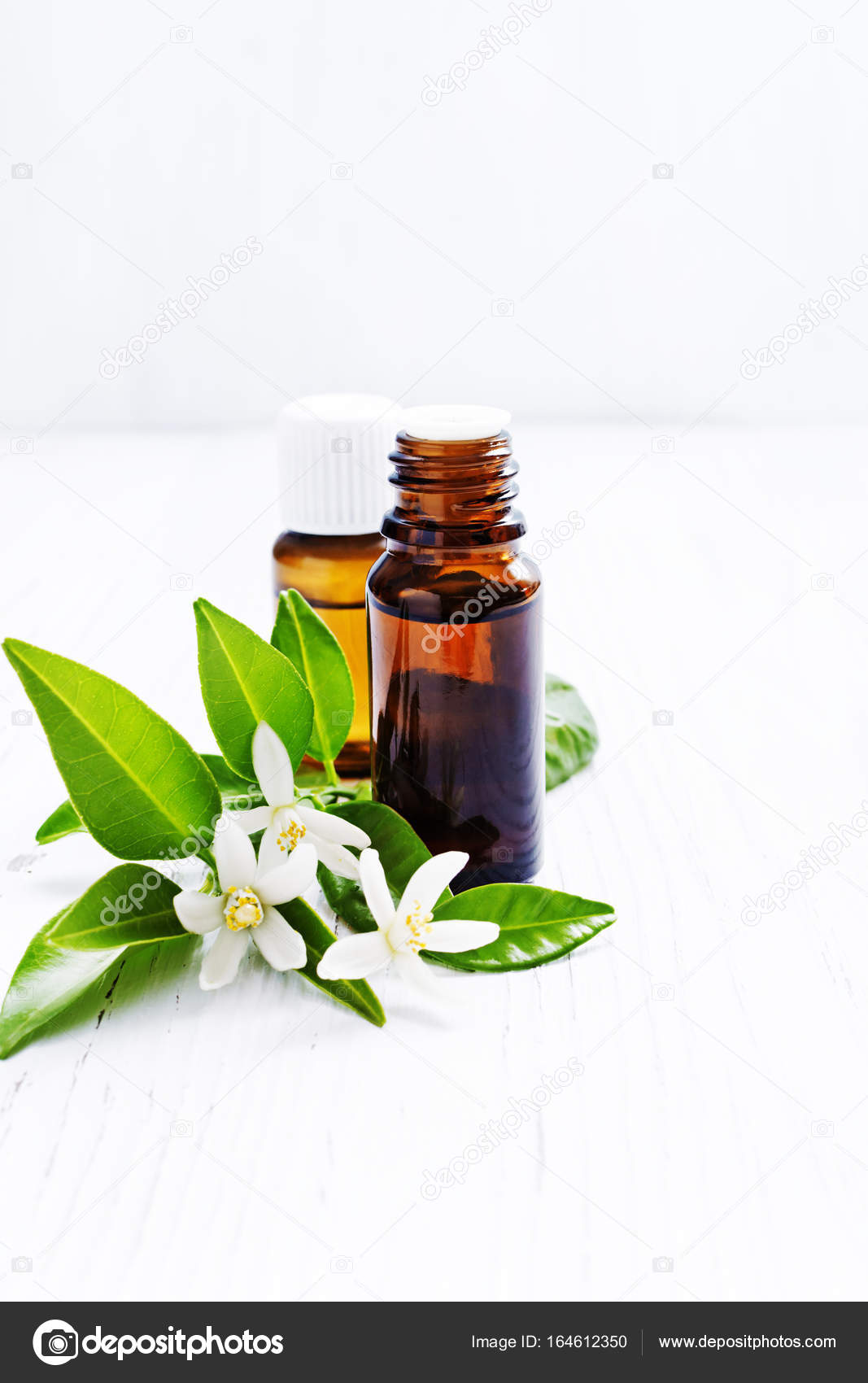 Foto de Neroli orange blossom essential oil in bottle. Fresh white