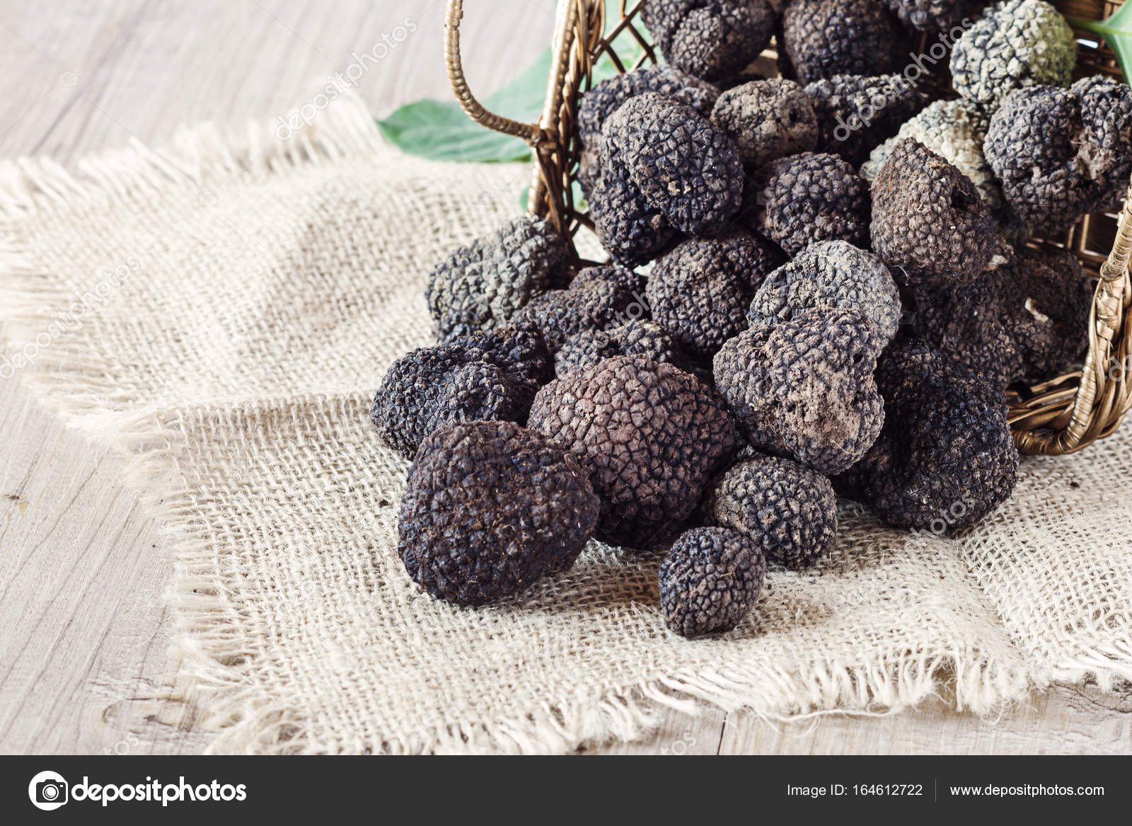 Black truffles mushrooms Stock Photo by ©laroinovaolga 164612722