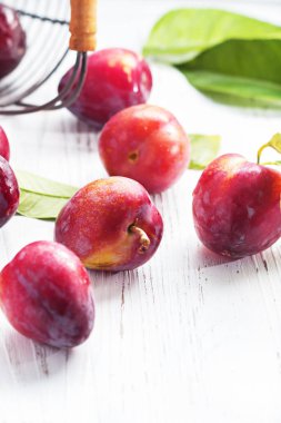 Kırmızı Erik yeşil yaprakları ile