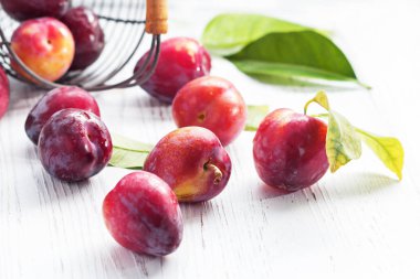 Kırmızı Erik yeşil yaprakları ile