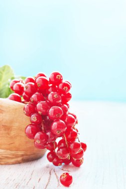  ahşap masa üzerinde kuş üzümü